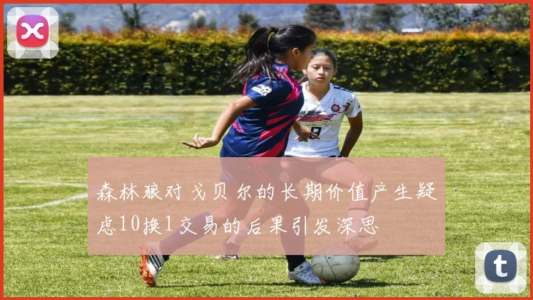 森林狼对戈贝尔的长期价值产生疑虑10换1交易的后果引发深思